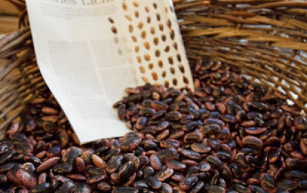 "Steirische Käferbohne" von EU als Bezeichnung geschützt