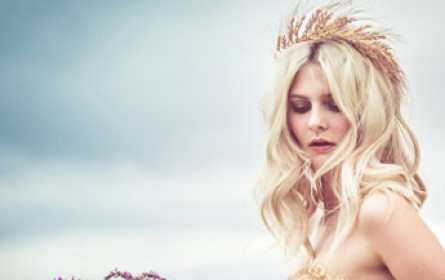 Fairness ist anziehend