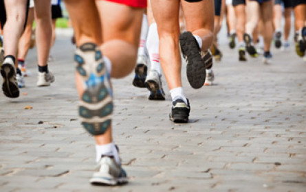 Auf die Plätze, fertig, los!