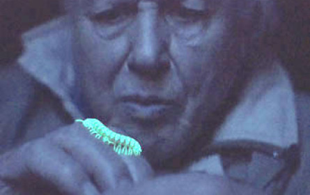 Doppelter Triumph für Terra Mater Factual Studios 