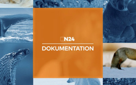 N24 mit komplett neuem Sender-Design