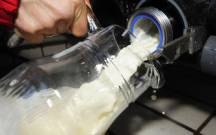 „Hoffnungsschimmer beim Erzeugermilchpreis“