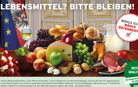 "Österreich is(s)t frei!"