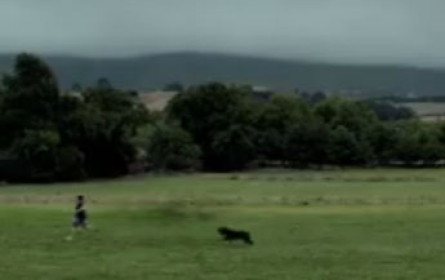 Fortsetzung von Paul Pechs Abenteuern