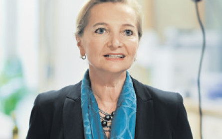 Kassen lernen kochen