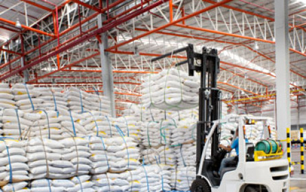 Großhandelspreise leicht unter Vorjahresniveau