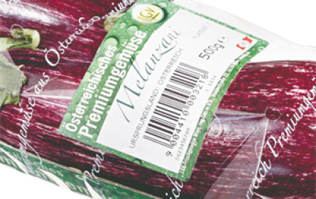 Die Big Seven auf einen Blick