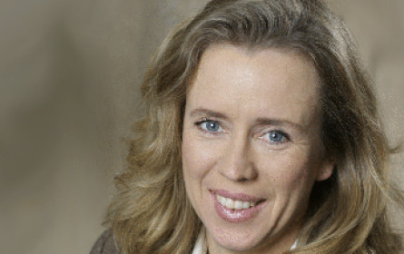 Reporter ohne Grenzen: Weltweit mindestens 348 Medienleute in Haft