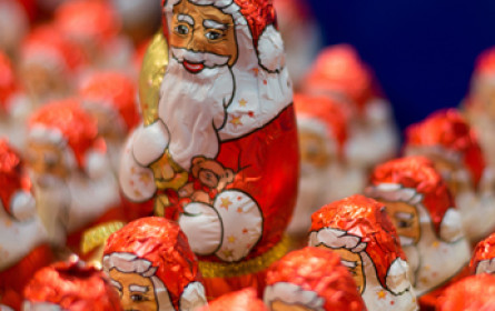 Nikolo bringt Wiener Handel 40 Mio. Euro