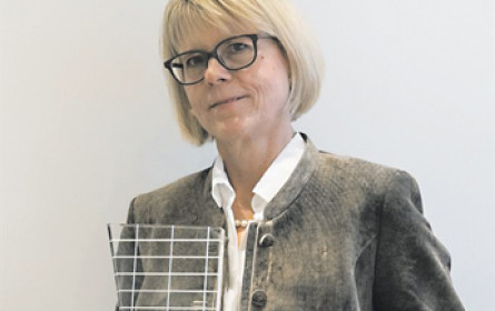 Die Linzer CSR-Profis