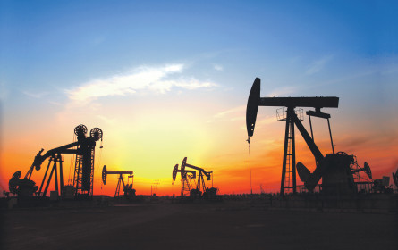 Die Dämmerung des Karbonzeitalters