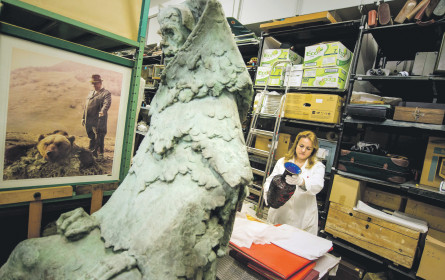 Kuratieren Sie schon?