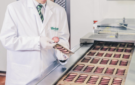 „Wir setzen auf Optimierung, nicht Maximierung”