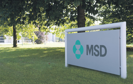 MSD feiert Geburtstag