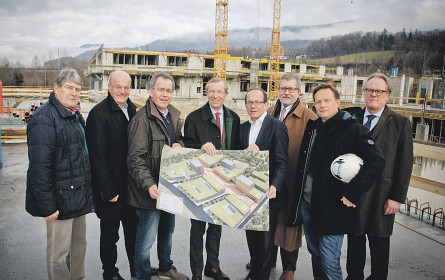 Urstein wächst Stück für Stück