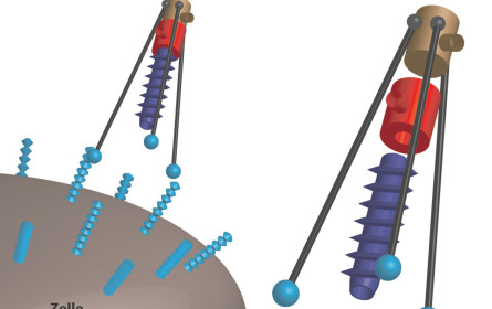 Neue Antibiotika gesucht