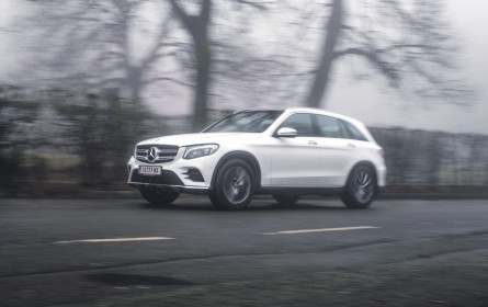 Cruiser, Kletterer & Fauteuil