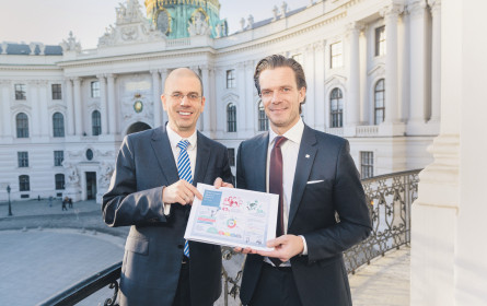 Überforderte Österreicher