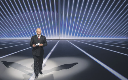 Platzhirsche im Vakuum