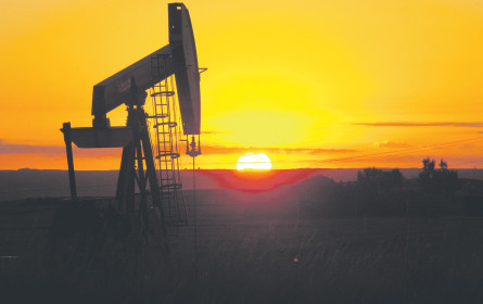 Arabesken um das „schwarze Gold&rdquo;