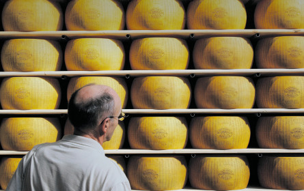 Käse und Wein geb ich für Kredite fein