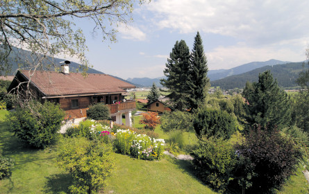 Immobilientrends in Salzburg