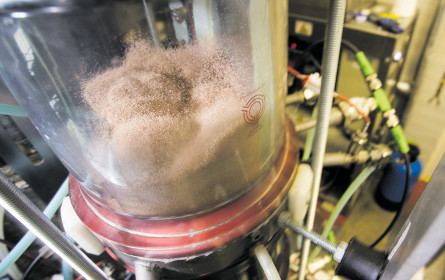 Kohlendioxid aus Abgasen gewinnen