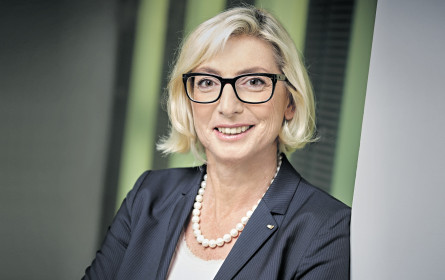 Aktienkurse, Solvency II und Zinsental: Versicherer leiden