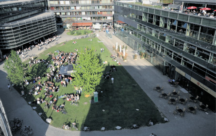 Studium für Healtheconomy