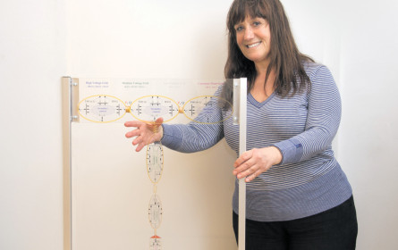 Neuer Ansatz für smarte Netze