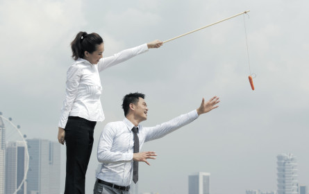 Peitsche effizienter als Zuckerbrot
