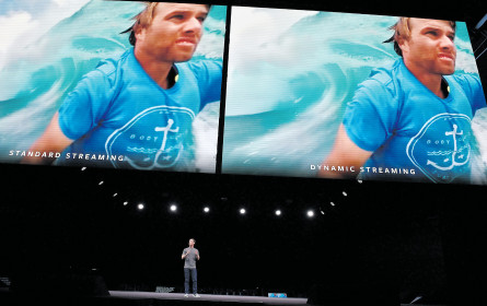 Der Schwarzfahrer im mobilen Datenverkehrsnetz