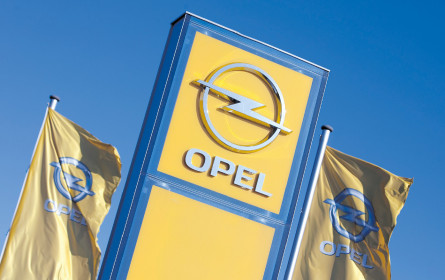 Ziel: kräftiges Wachstum