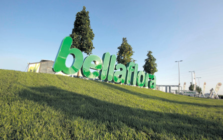 Das grüne Herz am rechten Fleck