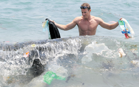 Wie kommt das Plastik ins Meer?