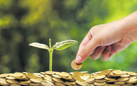 Die Stifter und ihre guten Investments