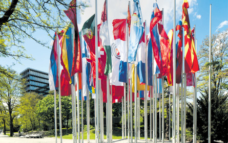 Unternehmen legen immer mehr Wert auf Patentschutz