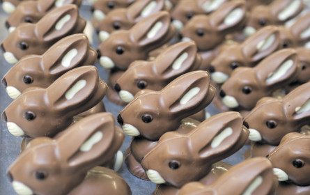 Was bringt der Osterhase?