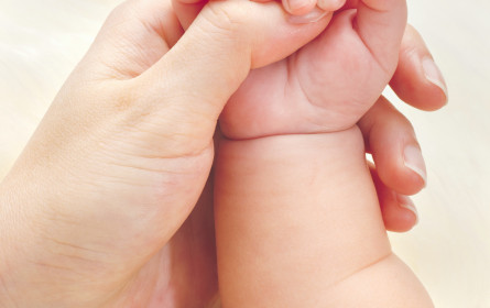 Homo hapticus: Tasten wird digital