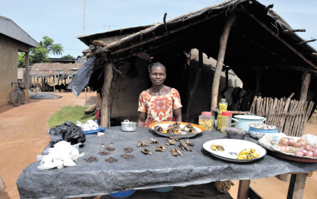 Das Geschäft mit dem Kakao