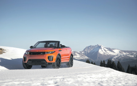 Topless durch Wald und Feld