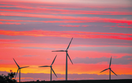 Ungenutztes Potenzial