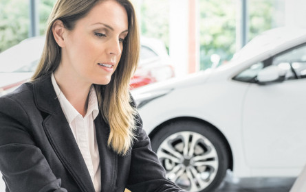 Web wird immer wichtiger