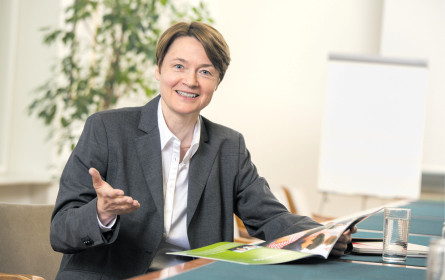 Jeder Tag kostet jeden Österreicher Geld