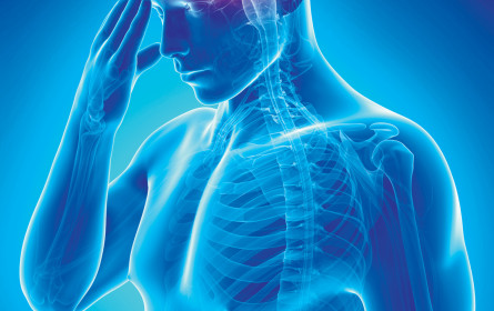 Schlaganfälle verhindern