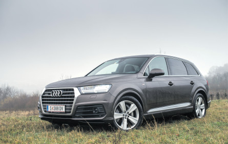 Der Waldmeister de luxe für sieben