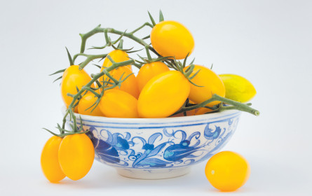 Das Gemüse des Jahres