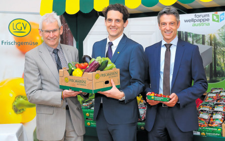 LGV und die Materialfrage