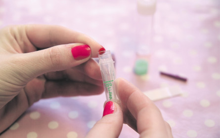 Start-up unter Druck