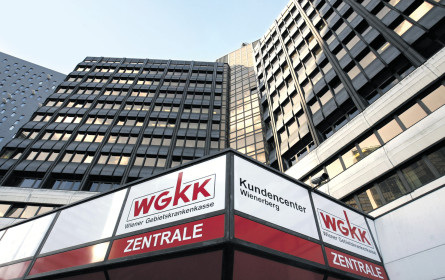 Firmen schulden Kassen 900 Mio.